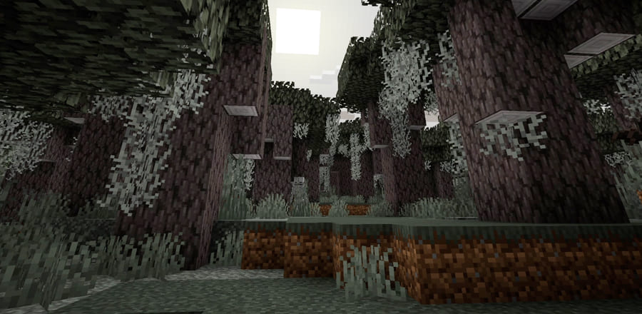Minecraft